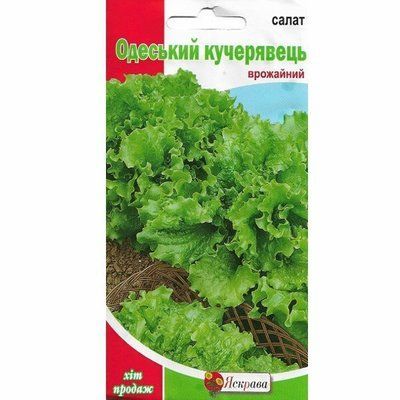 Насіння салату Одеський Кучерявець , 2 г (Яскрава)