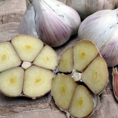Часник Золочівський замок, 0,5 кг