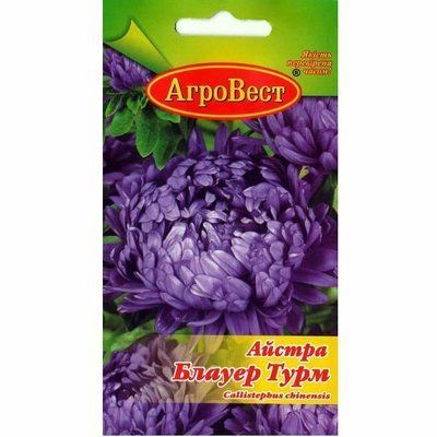 Квіти Айстра півонієвидна Блауер Турм 0,3 г (АгроВест)