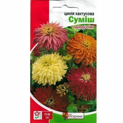 Насіння квітів Цинія кактусова (суміш) 0,5 г (Яскрава)