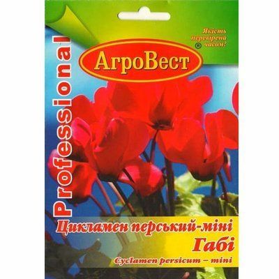 Квіти Цикламен перський-міні Габі 5 шт (АгроВест)