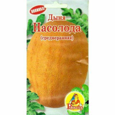Насіння дині Насолода , 10 шт (Радомир)