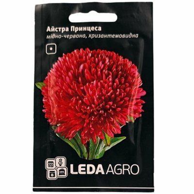 Насіння квітів айстра Принцеса (мідно-червона), 0,2 г(LEDAAGRO)