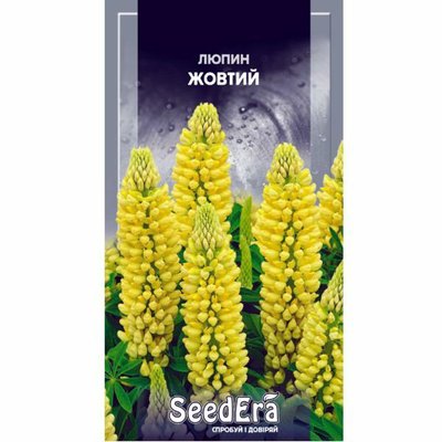 Насіння квітів Люпин жовтий багаторічний, 0,5 г( Seedera) 4823073706497 фото