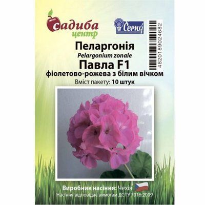 Пеларгонія Павла F1 фіолетово-рожева з білим вічком 10 нас (Садиба Центр)