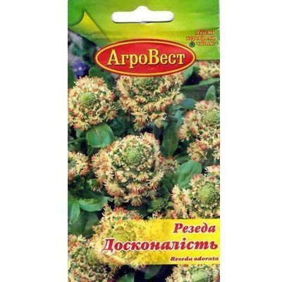 Квіти Резеда Досконалість 1 г (АгроВест)