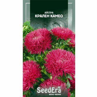 Насіння квітів Айстра високоросла Крален Камео, 0,25 г (Seedera)