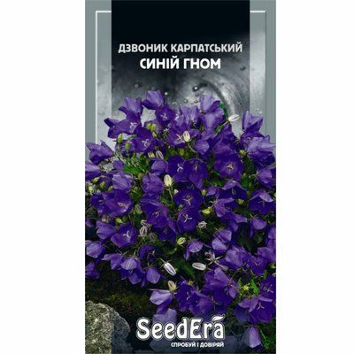 Дзвоник карпатський Синій Гном багаторічний Seedera, 0,1 г