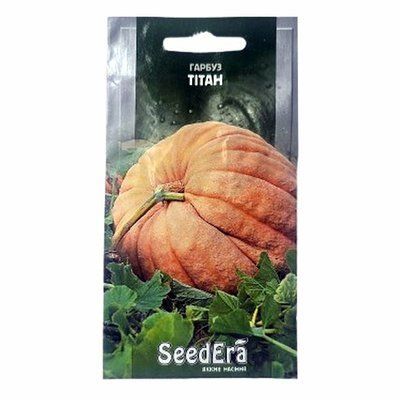 Насіння гарбуза Тітан , 2 г (SeedEra)