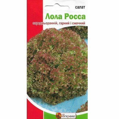 Насіння салату Лола Росса, 1 г (Яскрава)