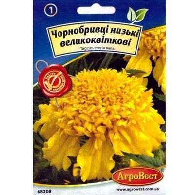 Насіння квітів Чорнобривці низькі великоквіткові, 0,3 г (АгроВест)