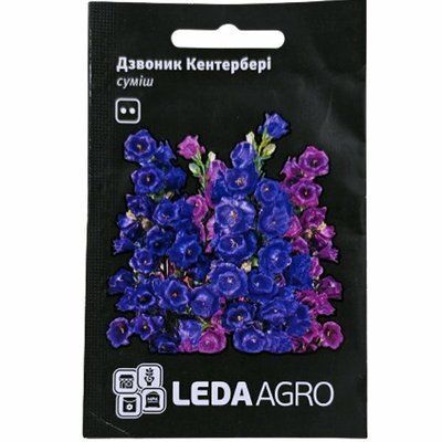 Насіння квітів дзвоник Кентербері, 0,1г(LEDAAGRO)