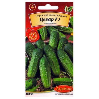 насіння огірка Цезар F1, 2 г (АгроВест)