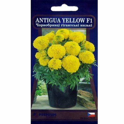Насіння квітів Чорнобривці низькі гігантські Antigua Yellow F1 , 5 шт (Яскрава)