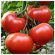 Насіння томату АКСІОМА F1 , 10 нас (зіппер) 2930000027807 фото 2