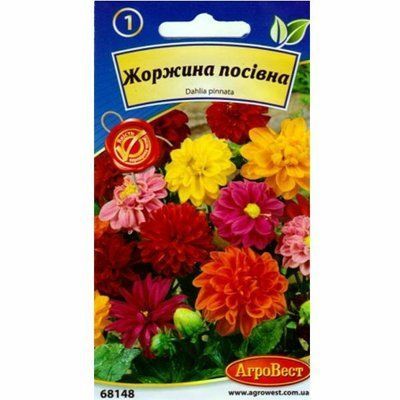 Квіти Жоржина посівна 0,4 г (АгроВест)