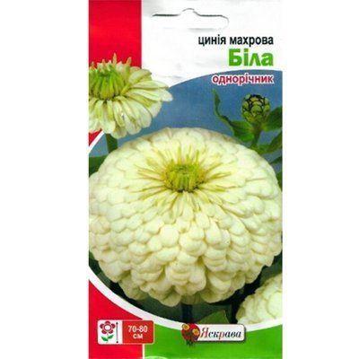 Насіння квітів Цинія махрова біла 0,5 г (Яскрава)