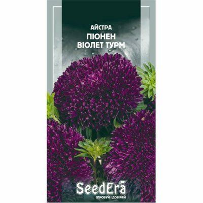 Айстра високоросла Піонен Віолет Турм Seedera, 0,25 г