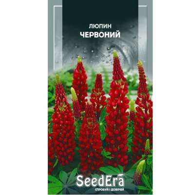 Насіння квітів Люпин червоний багаторічний, 0,5 г( Seedera) 4823073706503 фото