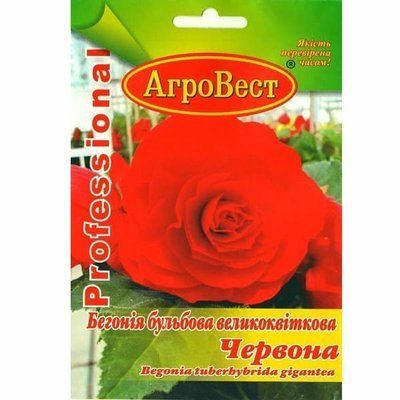 Квіти Бегонія великоквіткова Червона F1 10 шт (АгроВест)