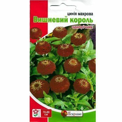 Насіння квітів Цинія махрова Вишневий король (бордова) , 0,5 г (Яскрава)
