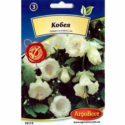 Квіти Кобея біла 5 нас (АгроВест)
