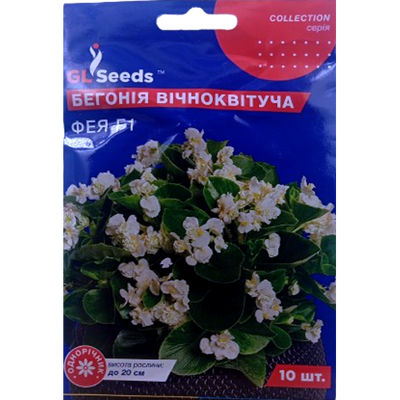 Насіння квітів бегонія Фея F1 (біла), 10 нас (GL SEEDS)