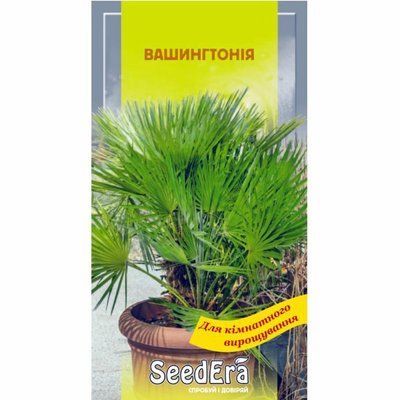 Вашингтонія Seedera, 5 шт