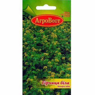 Насіння прянощів Гірчиця біла, 10 г (АгроВест)
