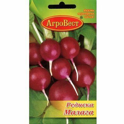 Насіння редиски Малага, 3 г (Агровест)