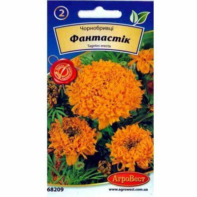 Насіння квітів Чорнобривці Фантастік 0,2 г (АгроВест)