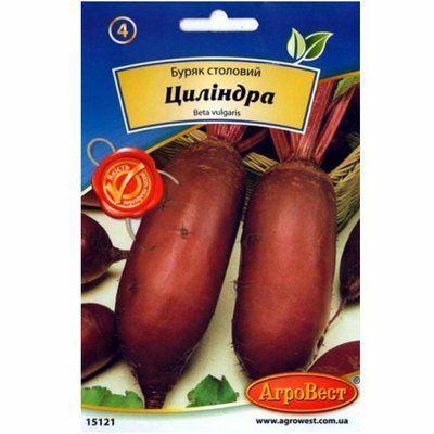Насіння буряка столового Циліндра , 10 г (АгроВест)