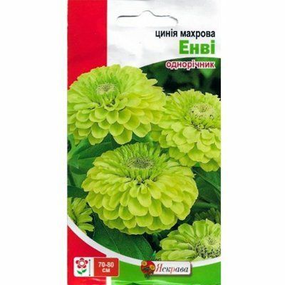 Насіння квітів Цинія махрова Енві (зелена) 0,5 г (Яскрава)