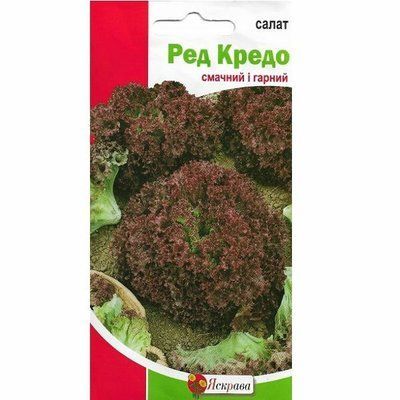 Насіння салату Ред Кредо , 5г (Яскрава)