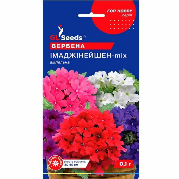 Насіння квітів Вербена Імаджинейшн мікс F1 0,1 г (GL SEEDS) 4823096907871 фото