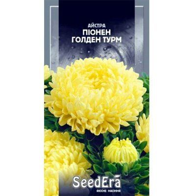 Айстра високоросла Піонен Голден Турм Seedera, 0,25 г