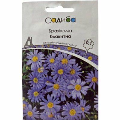 Насіння квітів Брахікома блакитна , 0,1 г (Садиба)