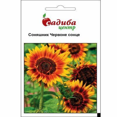 Насіння квітів Соняшник Червоне Сонце 1 г (Садиба Центр)