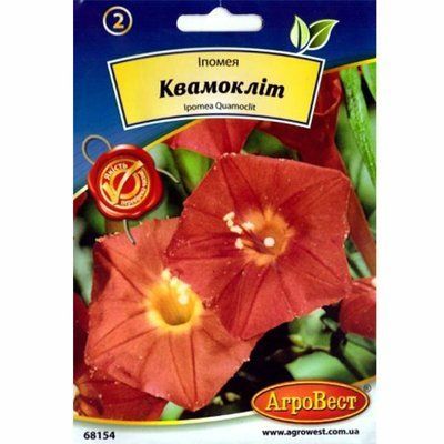 Квіти Іпомея Квамокліт 0,4 г (АгроВест)