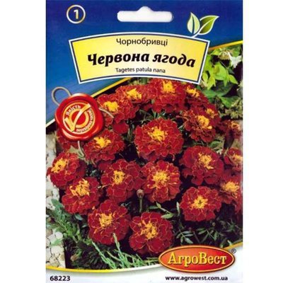 Насіння квітів Чорнобривці Червона ягода 0,4 г (АгроВест) 48682237 фото