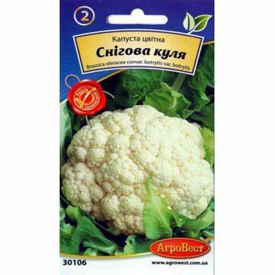 Насіння капусти цвітної Снігова куля , 10 г (АгроВест)
