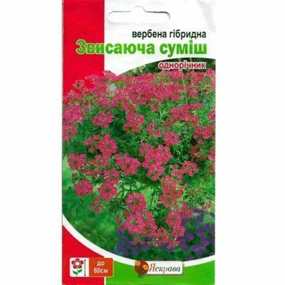 Насіння квітів Вербена гібридна Звисаюча суміш, 0,1 г (Яскрава)