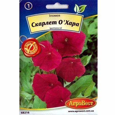 Квіти Іпомея Скарлет О' Хара 1 г (АгроВест)