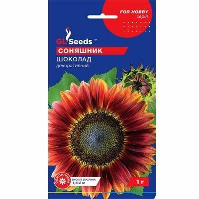 Насіння квітів Соняшник Шоколад 1 г (GL SEEDS)