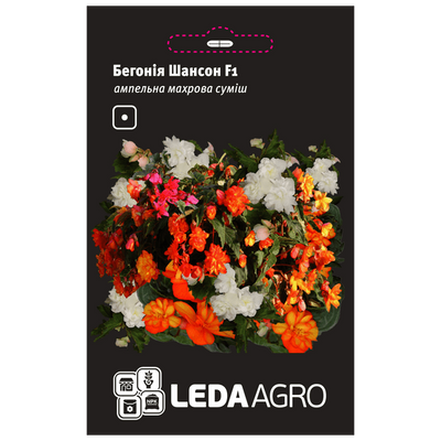 Насіння квітів Бегонія ампельна Шансон F1 (суміш), 10 шт (Leda Agro)