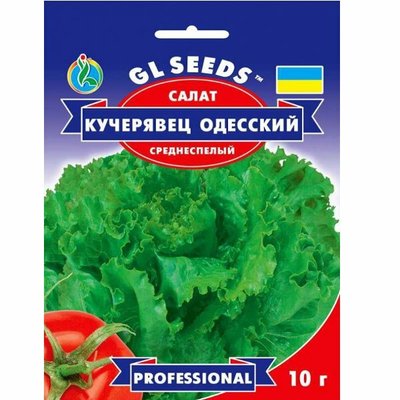 Насіння салату Кучерявець Одеський, 10 г (GL SEEDS) 4823096911199 фото