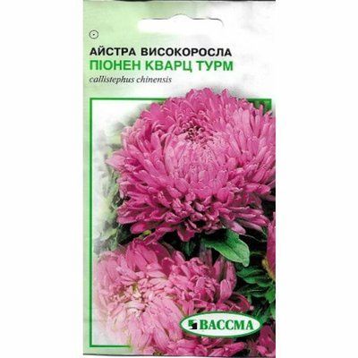 Айстра високоросла Піонен Кварц Турм Вассмa, 0,25 г