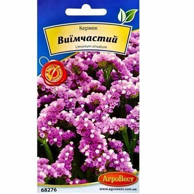 Насіння квітів Кермек Виїмчастий (рожевий), 15 нас (Агровест)