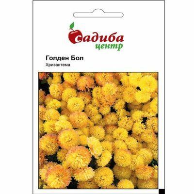 Хризантема Голден Бол 0,1 (Садиба Центр)