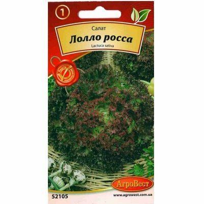 Насіння салату Лолло Росса, 1 г (АгроВест)